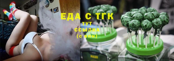 твердый Заводоуковск