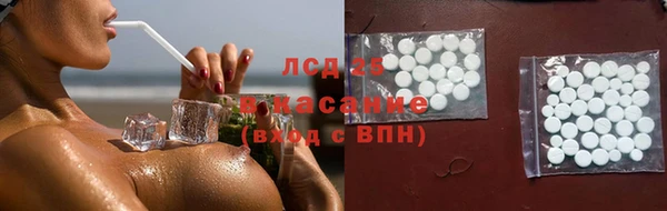 твердый Заводоуковск