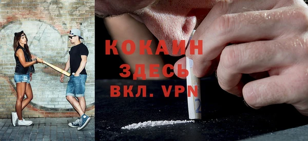 твердый Заводоуковск