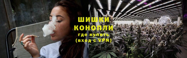 твердый Заводоуковск