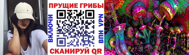 Купить  Рославль  Псилоцибиновые грибы Cubensis 